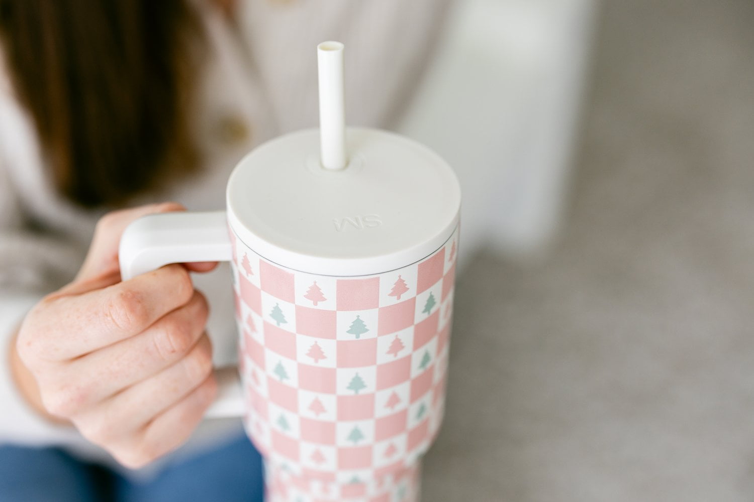 Simple Modern 30 fl oz Insulated Stainless Steel Trek Tumbler with Straw Lid | Seaglass Sage and Cream Checkmate C690P