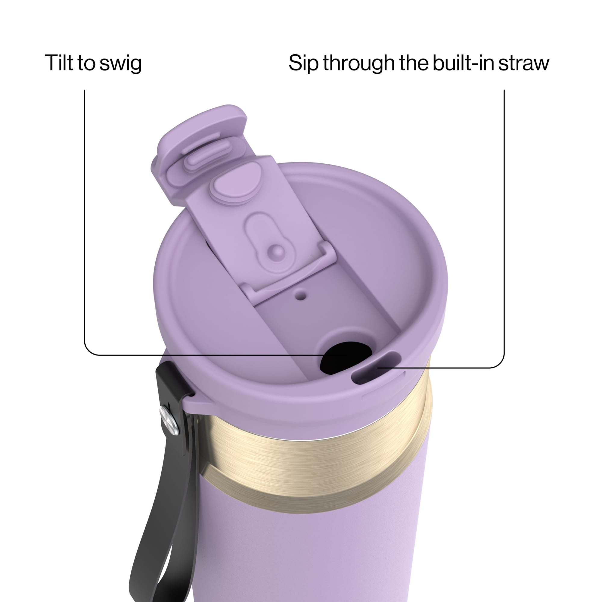 Contigo DualSip 24 oz Leakproof Insulated Water Bottle with Carrying Strap and 2-Way Lid C041M
