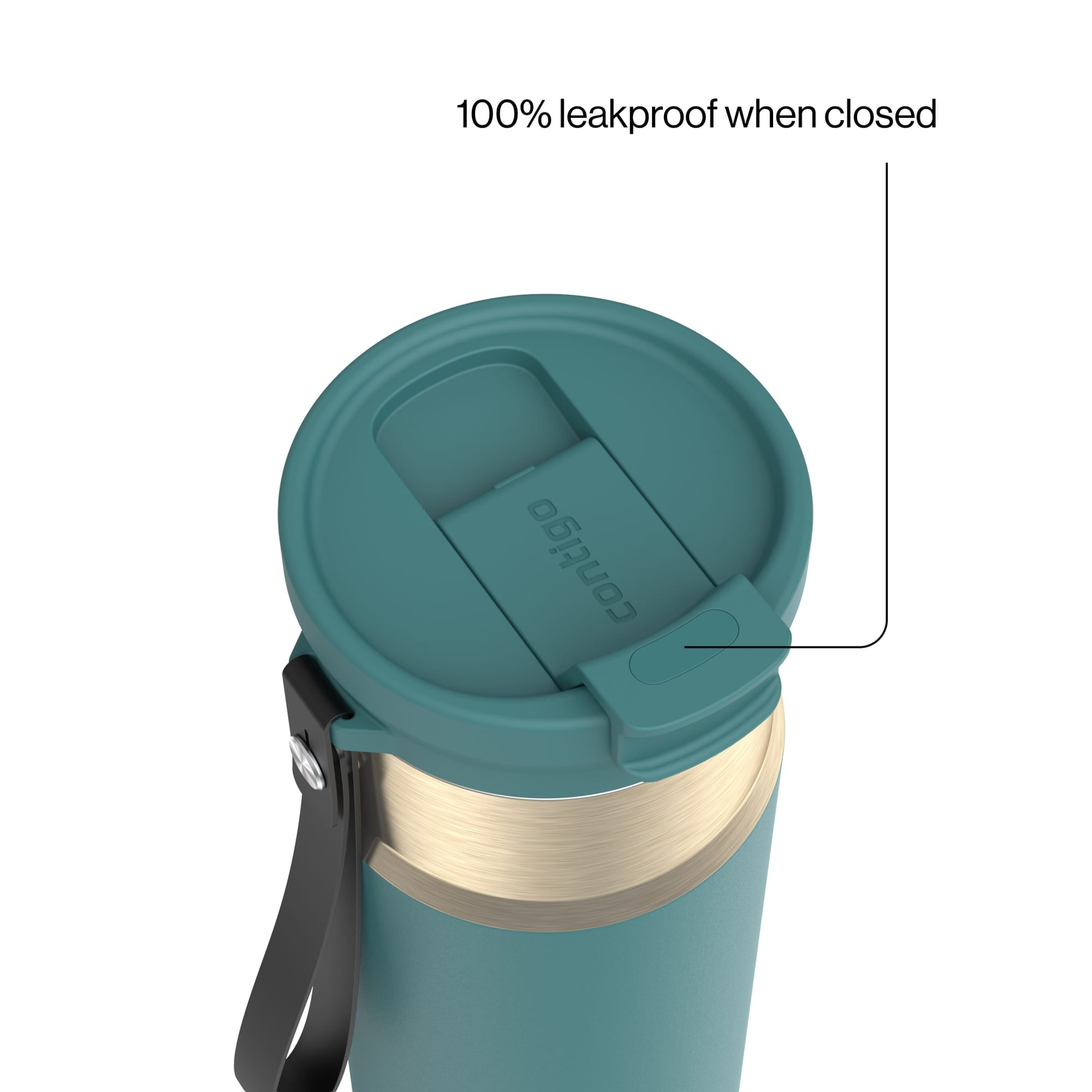 Contigo DualSip 24 oz Leakproof Insulated Water Bottle with Carrying Strap and 2-Way Lid C041M