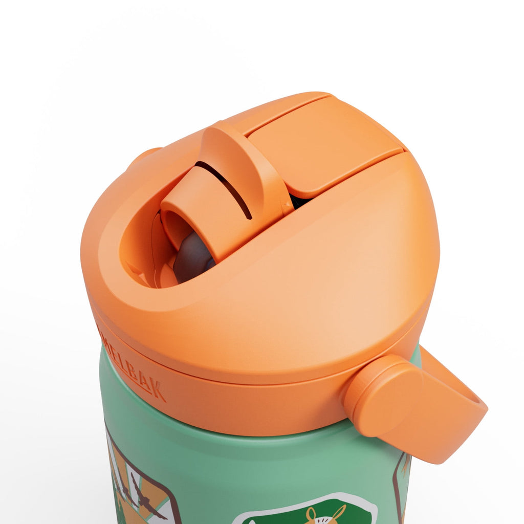 Camelbak Thrive™ Flip Straw Kids Stainless 12oz Water Bottle, Dino Jam C311F
