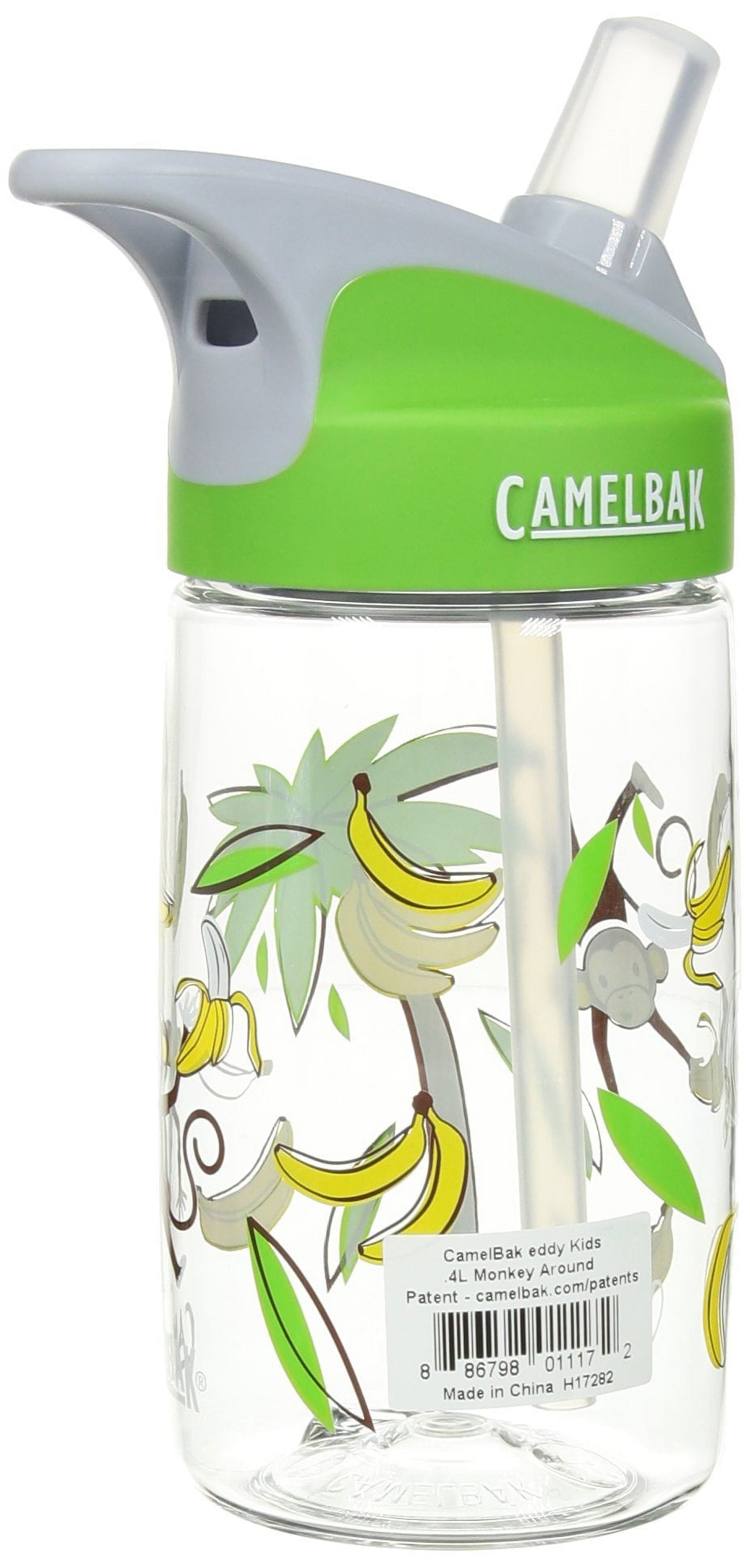 CamelBak Eddy Kids Water Bottle, Airplane Bandits.4 L C310T