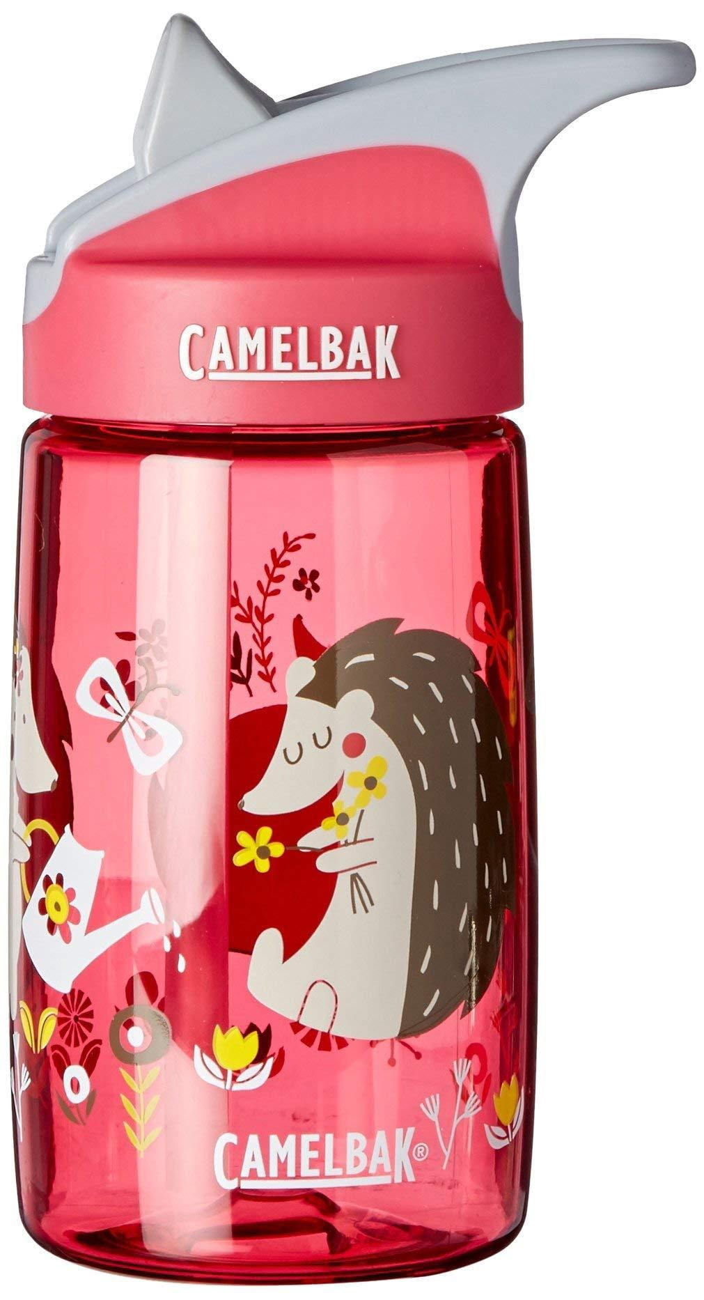 CamelBak Eddy Kids Water Bottle, Airplane Bandits.4 L C310T