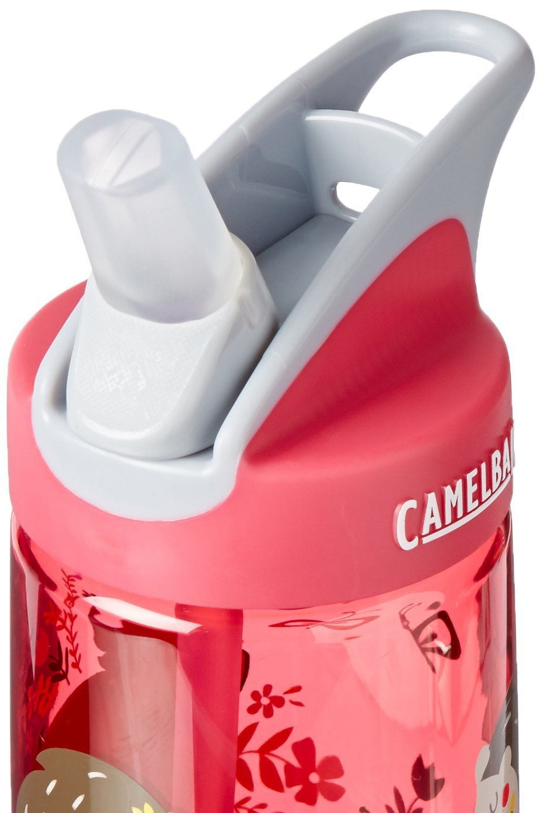 CamelBak Eddy Kids Water Bottle, Airplane Bandits.4 L C310T