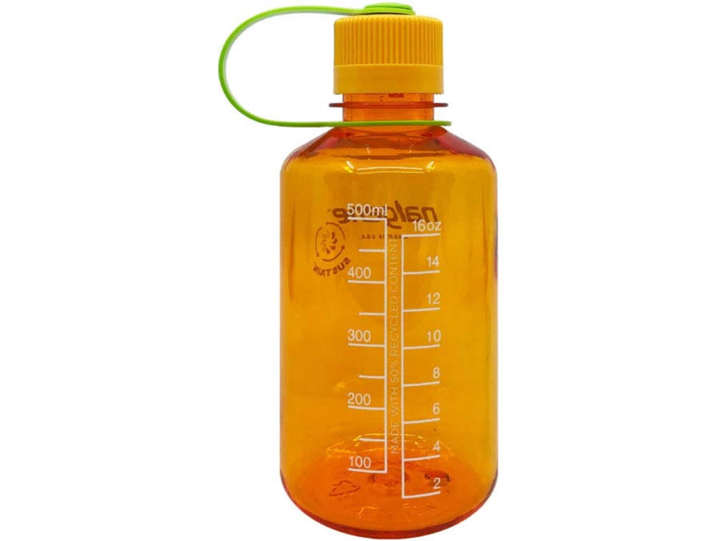 Nalgene Sustain 16 oz. Narrow Mouth Water Bottle - Cornflower Blue C141W