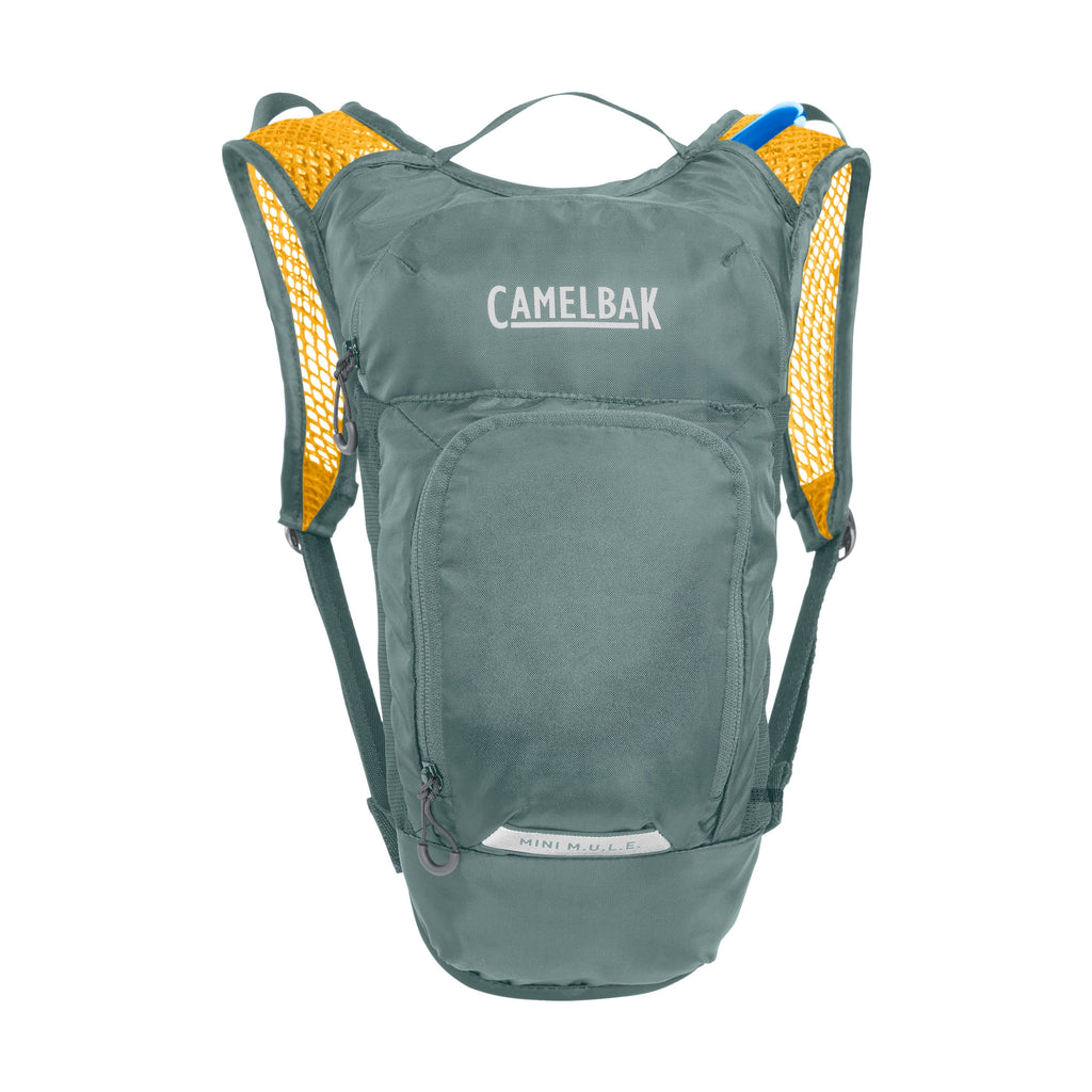 CamelBak Mini M.U.L.E.® 50 oz Hydration Pack, Sharks C250V