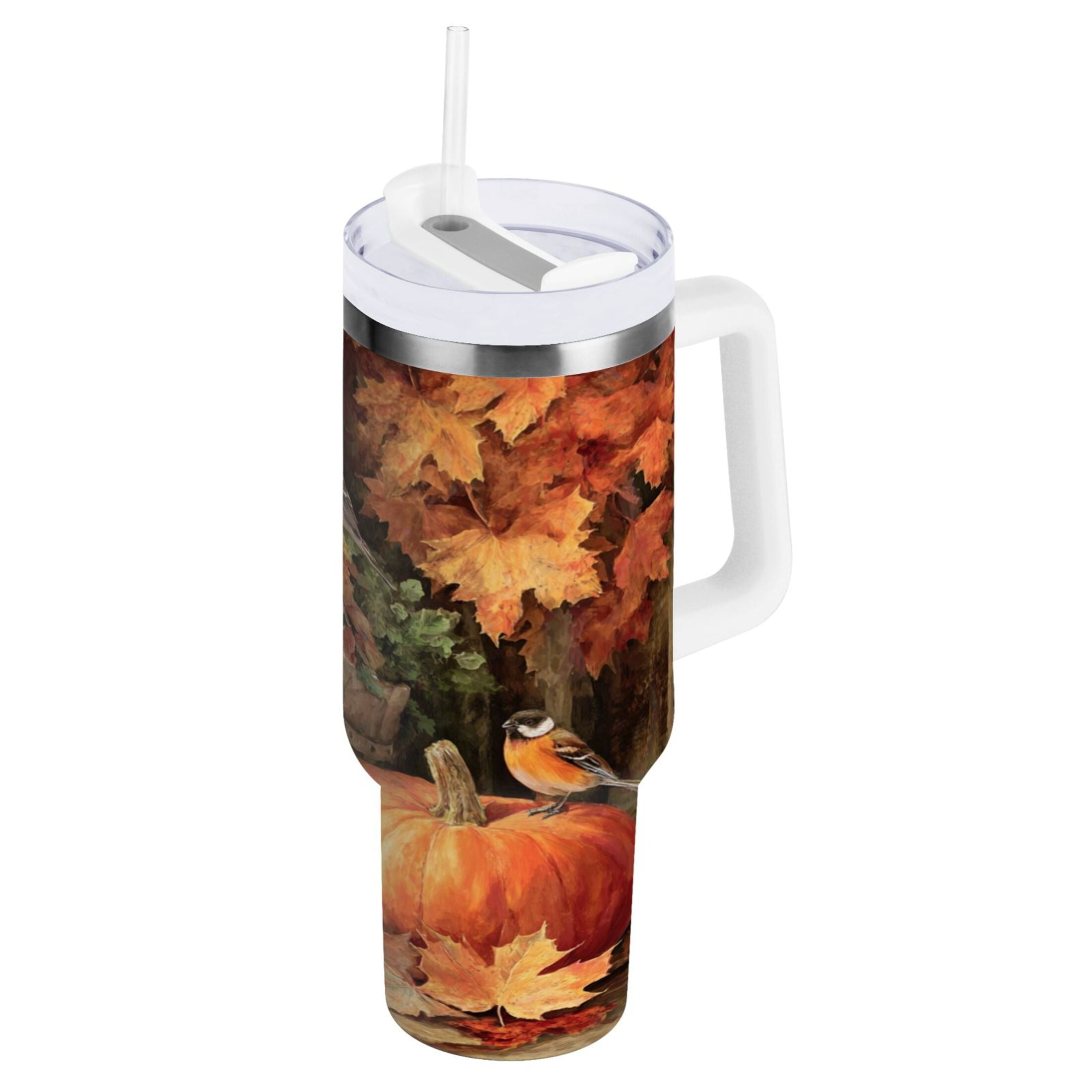 30 oz Insulated Stainless Steel Tumbler Double Wall Stainless Steel Tumbler with 2-Way Drinking Beautiful Fall Scene C610S