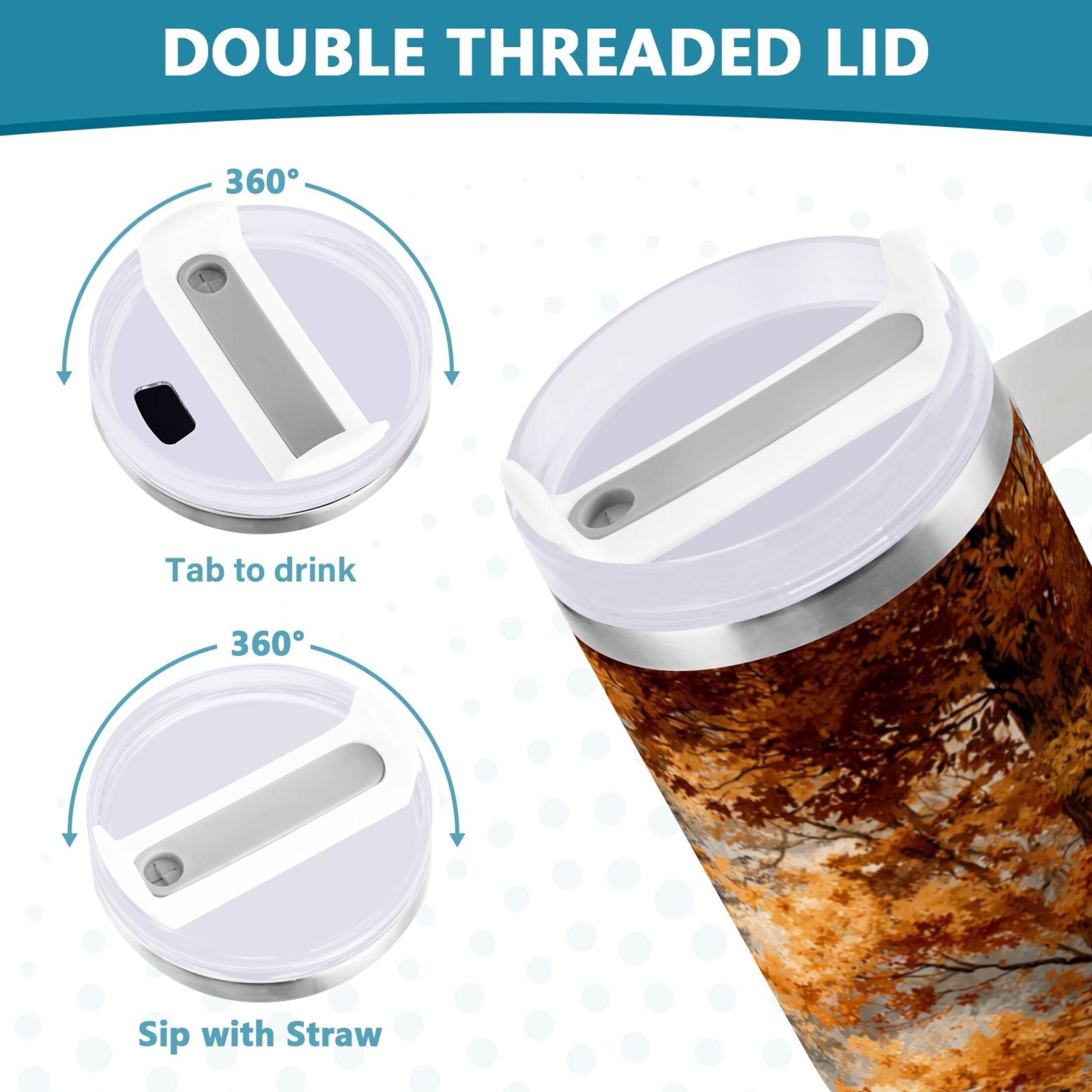 30 oz Insulated Stainless Steel Tumbler Double Wall Stainless Steel Tumbler with 2-Way Drinking Beautiful Autumn Forest C556L