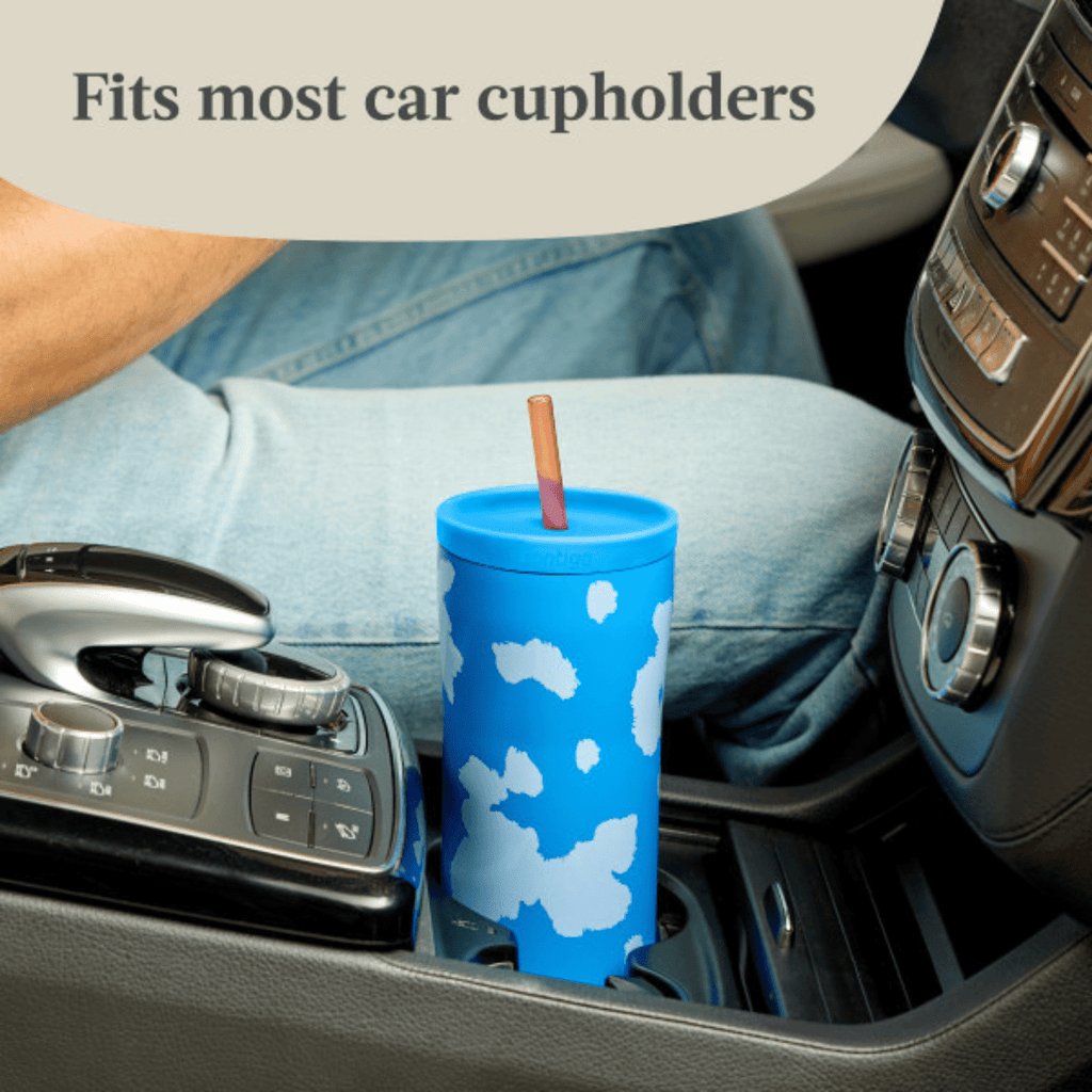 Contigo x Ally Love Streeterville 2.0 Stainless Steel Tumbler with Straw, 24 oz, Stellar Jay C112S