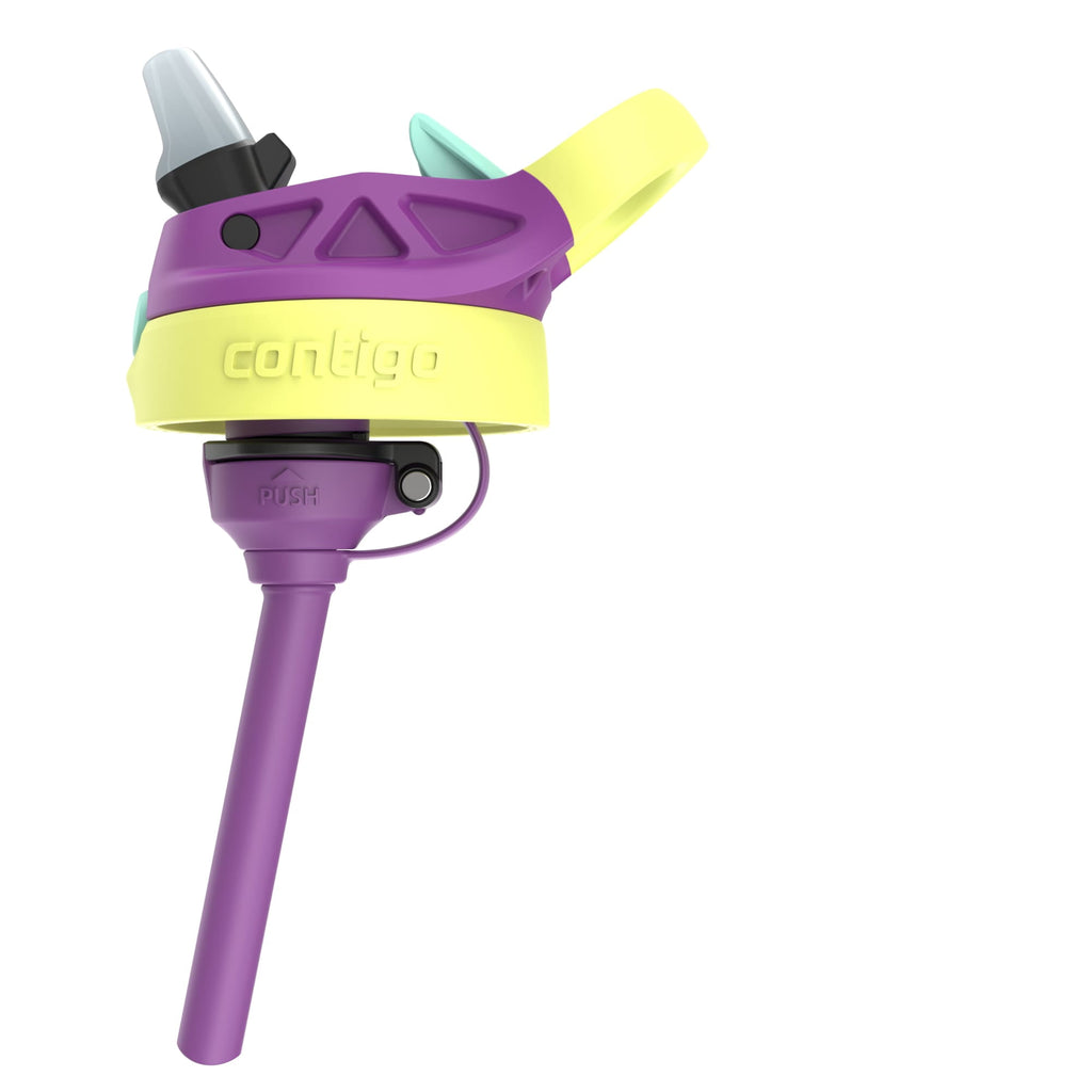 (4 pack) Contigo Kids Water Bottle with Redesigned AUTOSPOUT Straw, 14 oz, Grape Forest Haven C016N