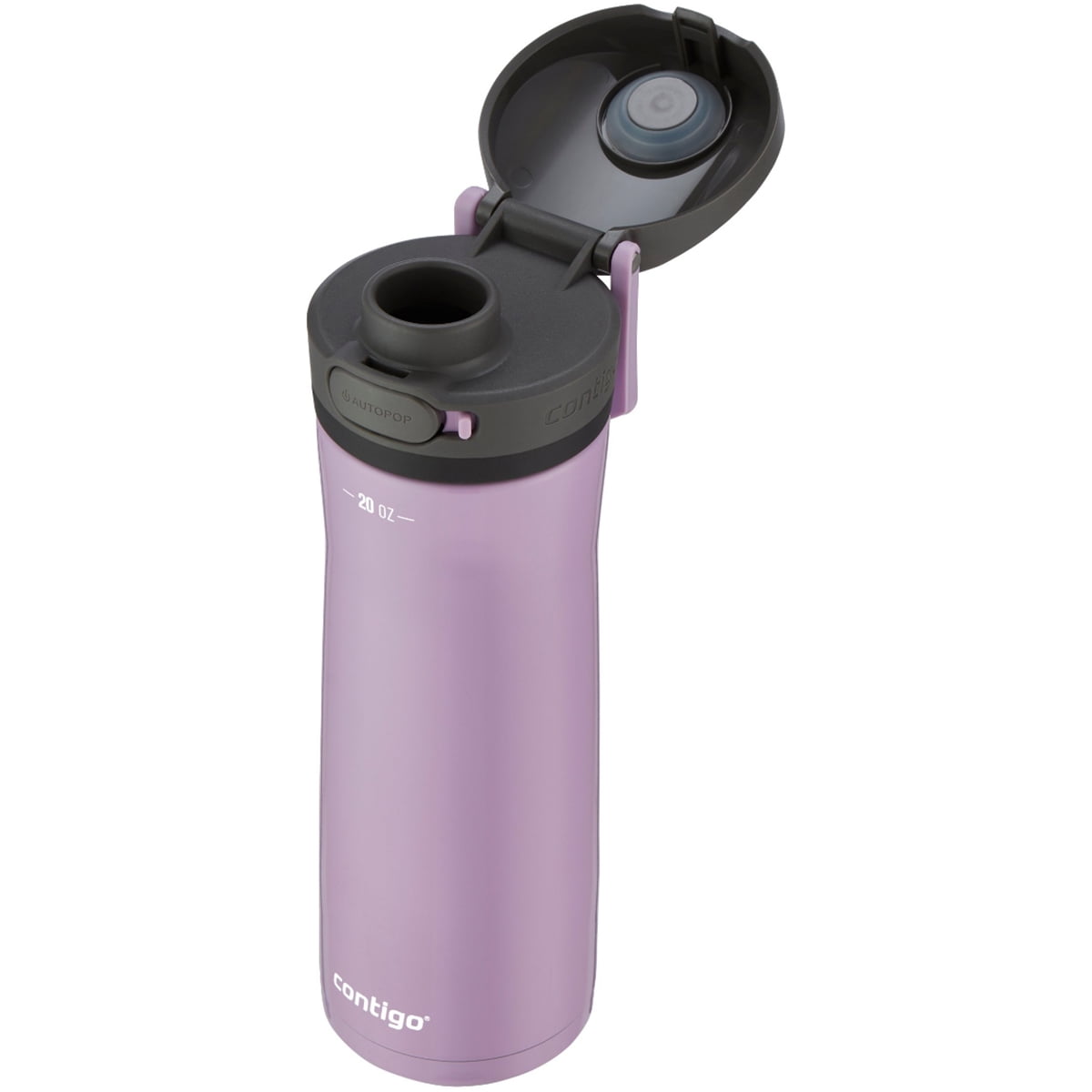 Contigo 20 oz. Jackson Chill 2.0 Water Bottle - Stainless Steel w/Licorice C059T