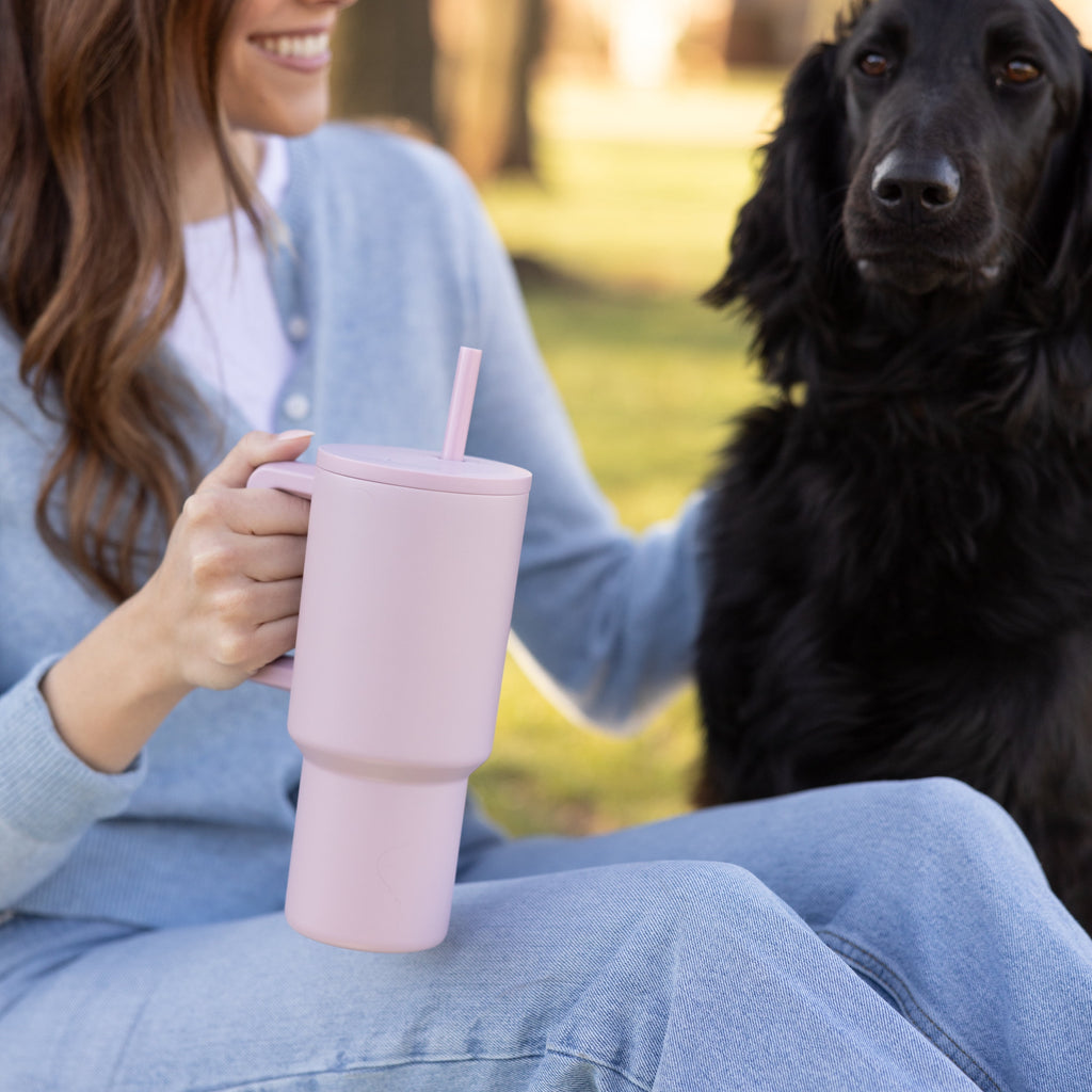 Simple Modern 30 fl oz Insulated Stainless Steel Trek Tumbler with Straw Lid | Seaglass Sage and Cream Checkmate C690P