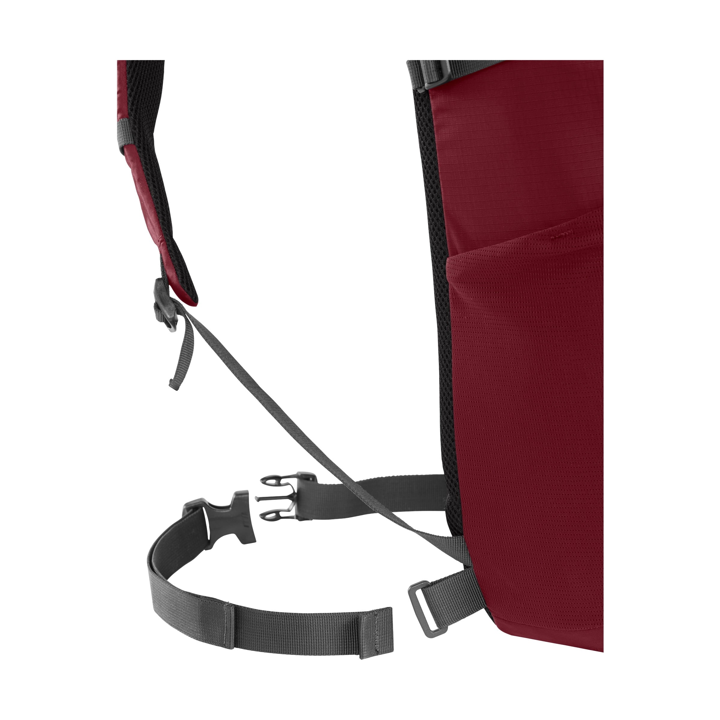Camelbak Cloud Walker 18 85oz, Cabernet C243L