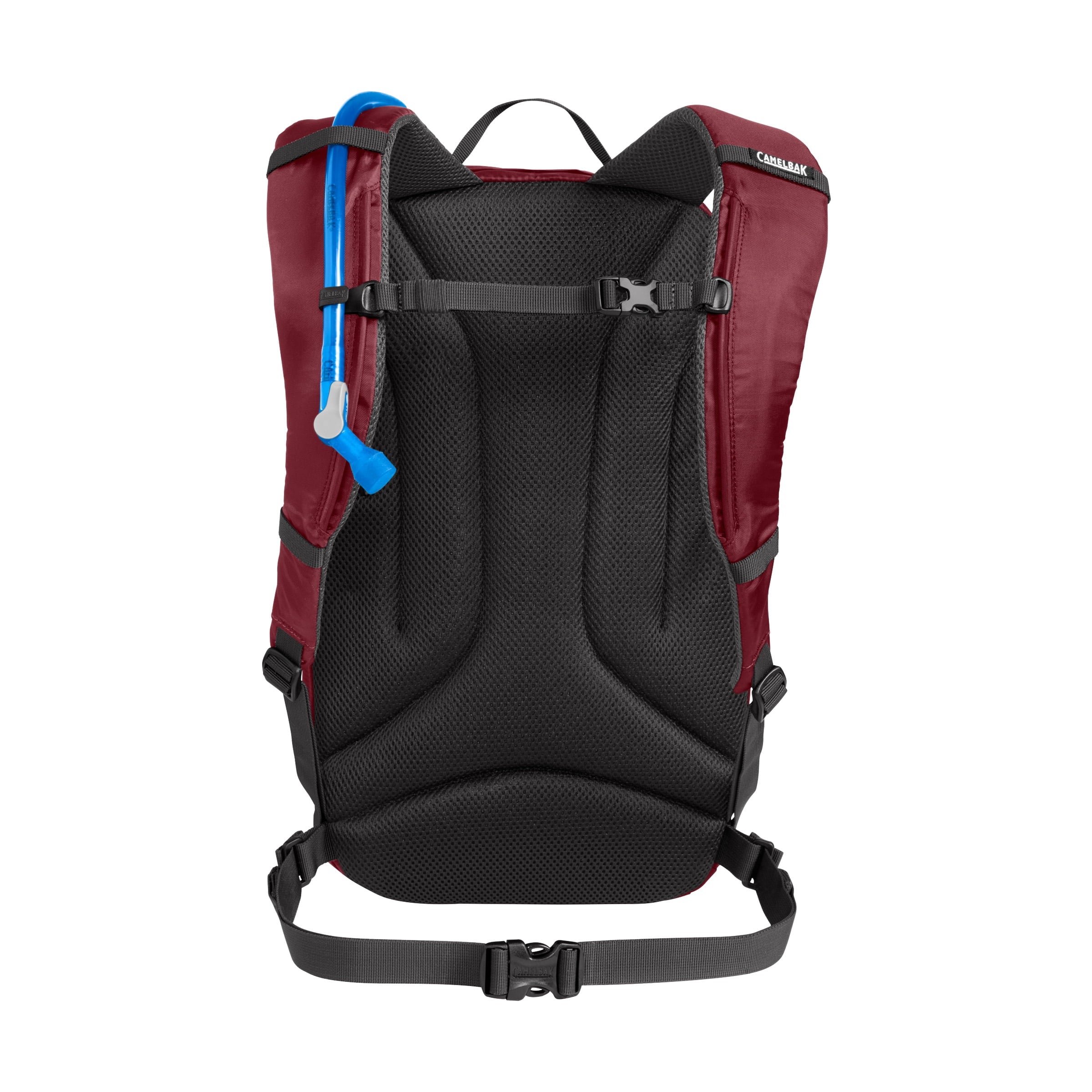 Camelbak Cloud Walker 18 85oz, Cabernet C243L
