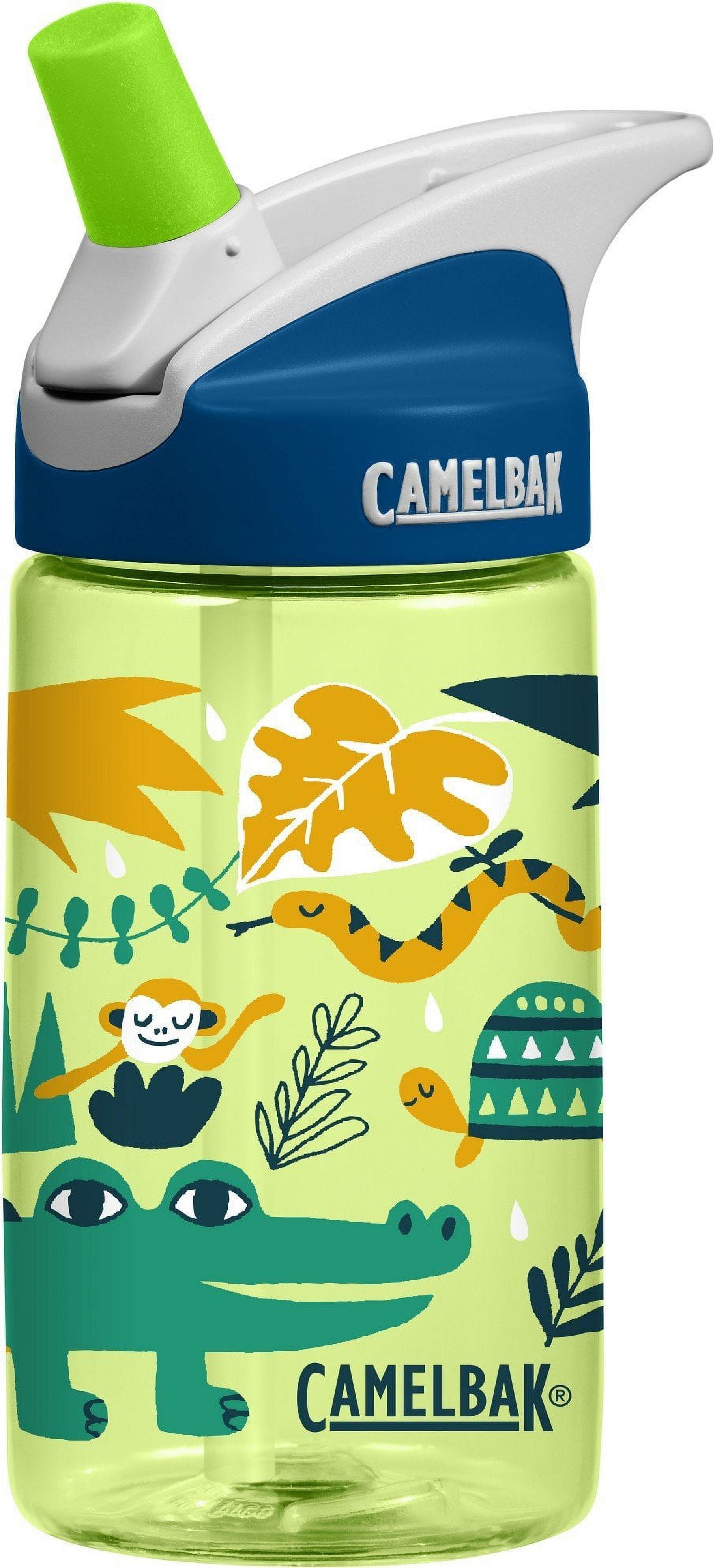 CamelBak Eddy Kids BPA Free Water Bottle Airplane Bandits Bottle Only C312E