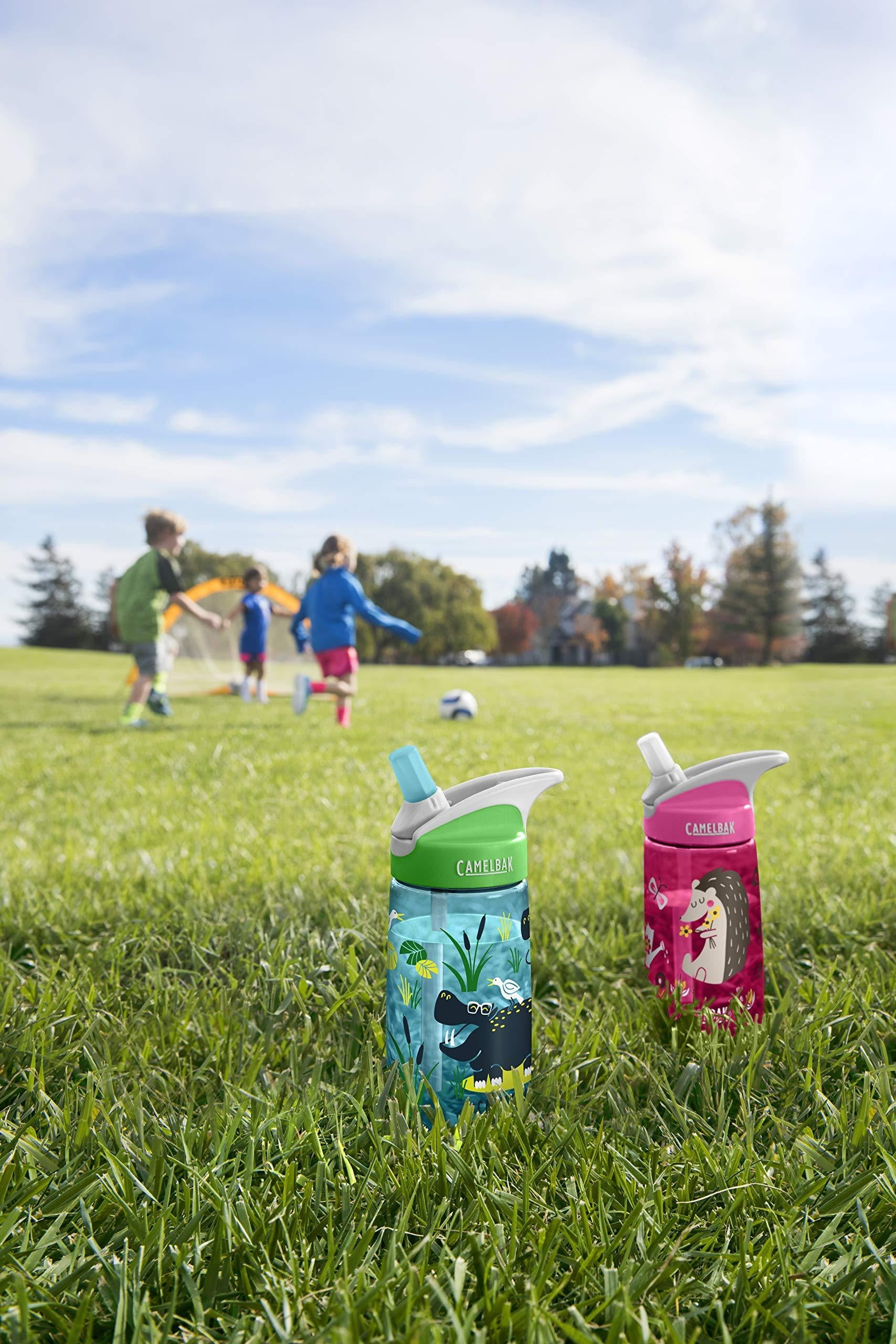 CamelBak Eddy Kids BPA Free Water Bottle Airplane Bandits Bottle Only C312E