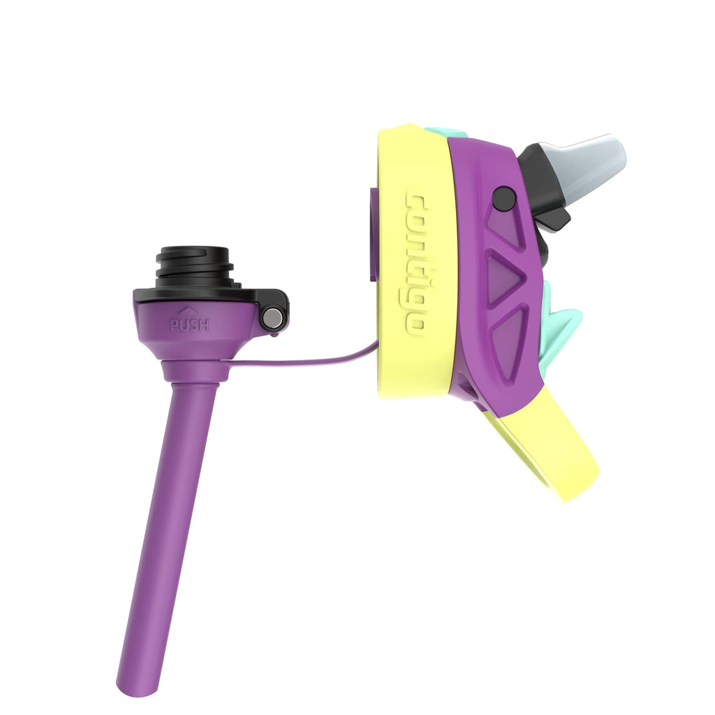 Contigo Kids Water Bottle with Redesigned AUTOSPOUT Straw, 14 oz, Grape Forest Haven C003F