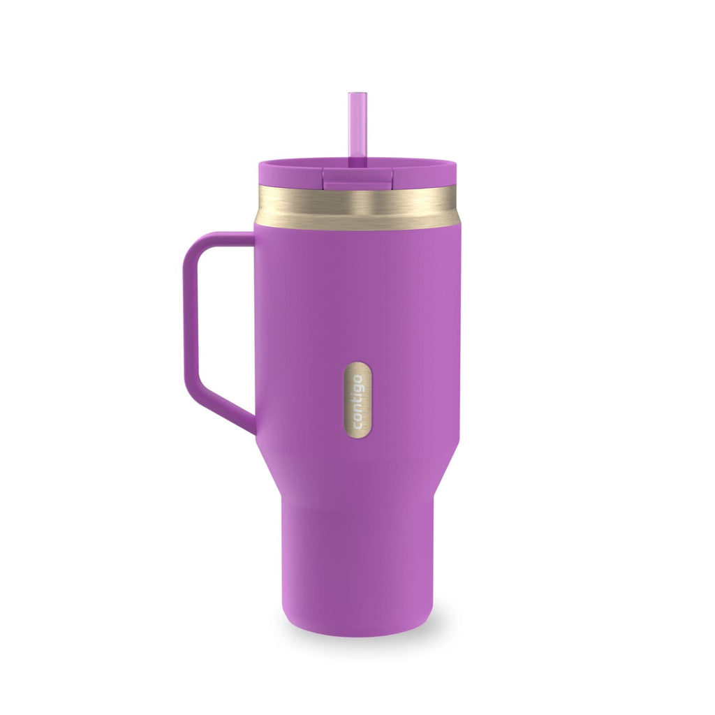 Contigo SnapSeal Leakproof Stainless Steel Reusable Water Bottle Tumbler with Side Handle, Black/Bronze, 30 oz C015E