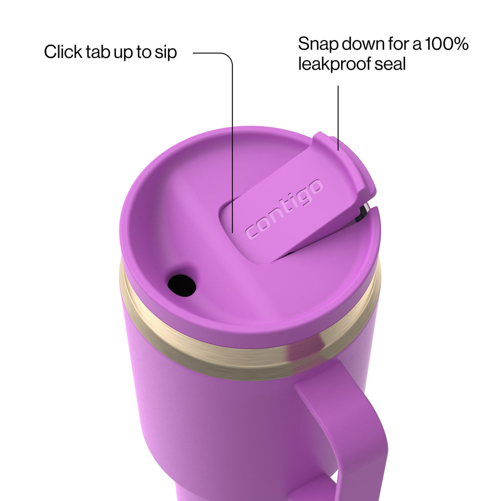 Contigo SnapSeal Leakproof Stainless Steel Reusable Water Bottle Tumbler with Side Handle, Black/Bronze, 30 oz C015E