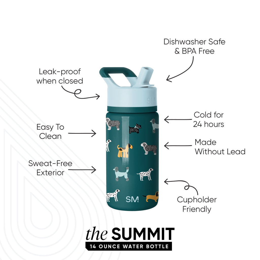Simple Modern 14oz Summit Water Bottle with Straw Lid | Confetti C429X