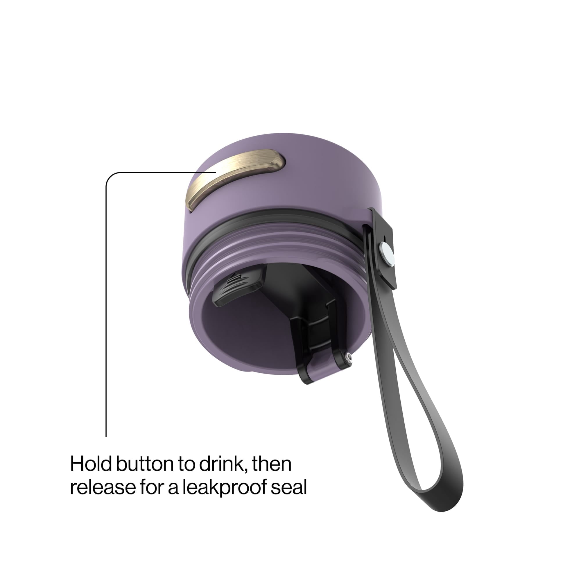 Contigo AutoSeal 16 oz Leakproof Water Bottle with Carrying Strap C023G