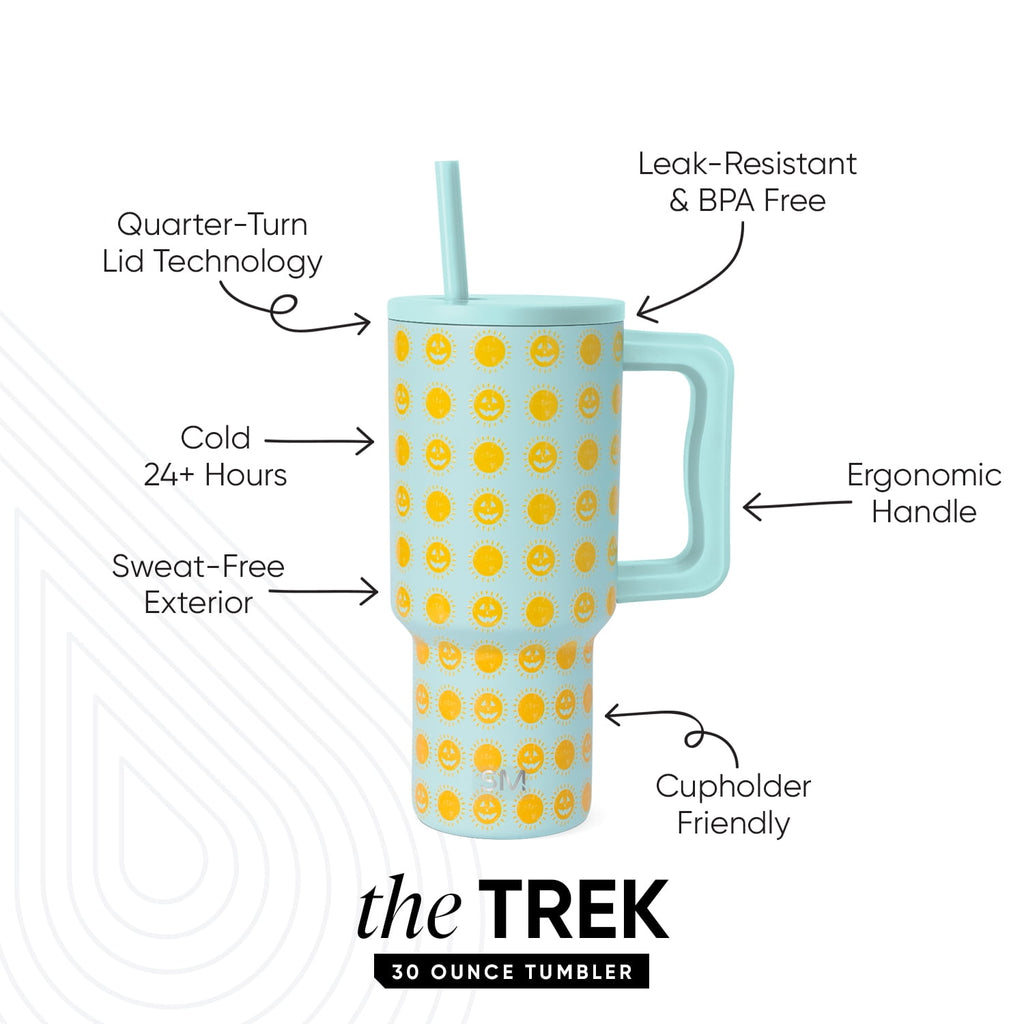 Simple Modern 30 fl oz Insulated Stainless Steel Trek Tumbler with Straw Lid | Seaglass Sage and Cream Checkmate C690P