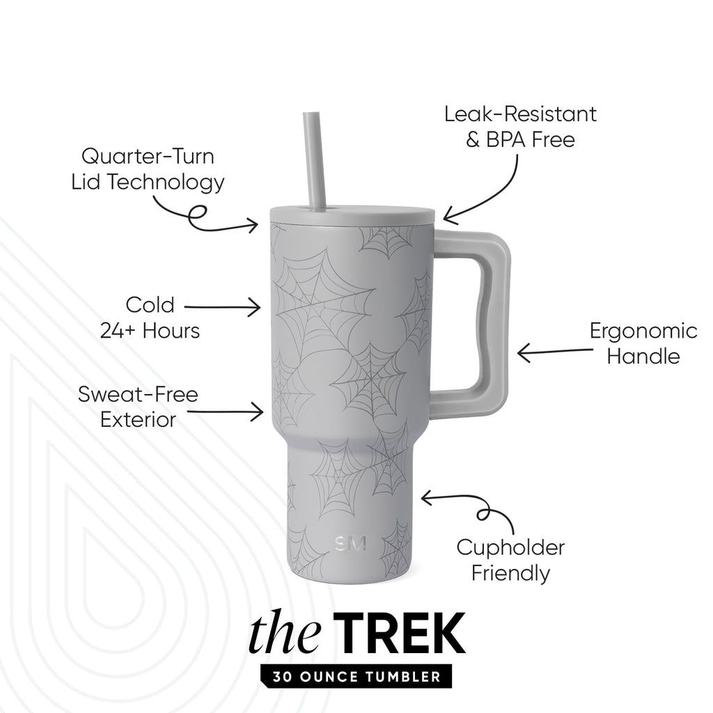 Simple Modern 30 fl oz Insulated Stainless Steel Trek Tumbler with Straw Lid | Seaglass Sage and Cream Checkmate C690P
