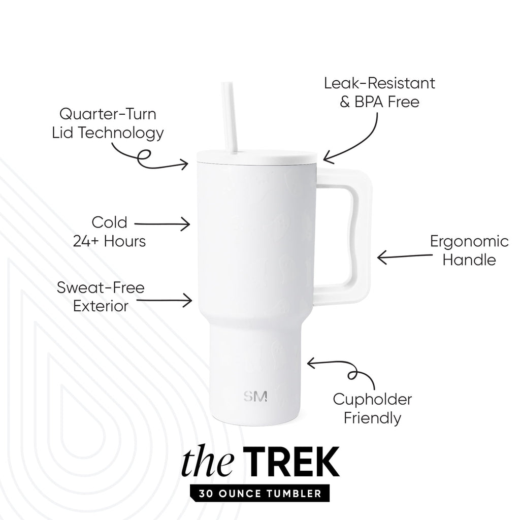 Simple Modern 30 fl oz Insulated Stainless Steel Trek Tumbler with Straw Lid | Seaglass Sage and Cream Checkmate C690P